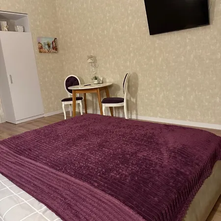 біля оперного театру2 Apartment *