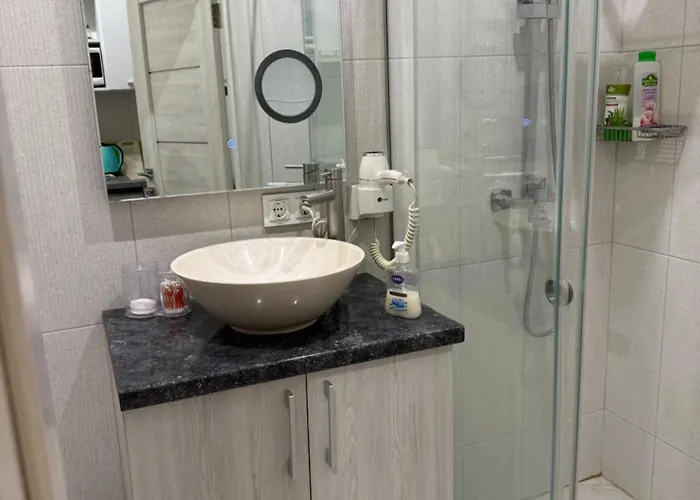 біля оперного театру2 דירה