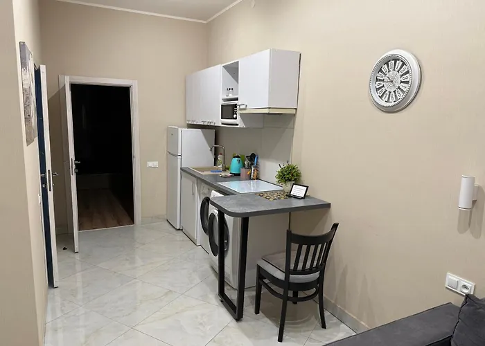 біля оперного театру2 アパート リヴィウ